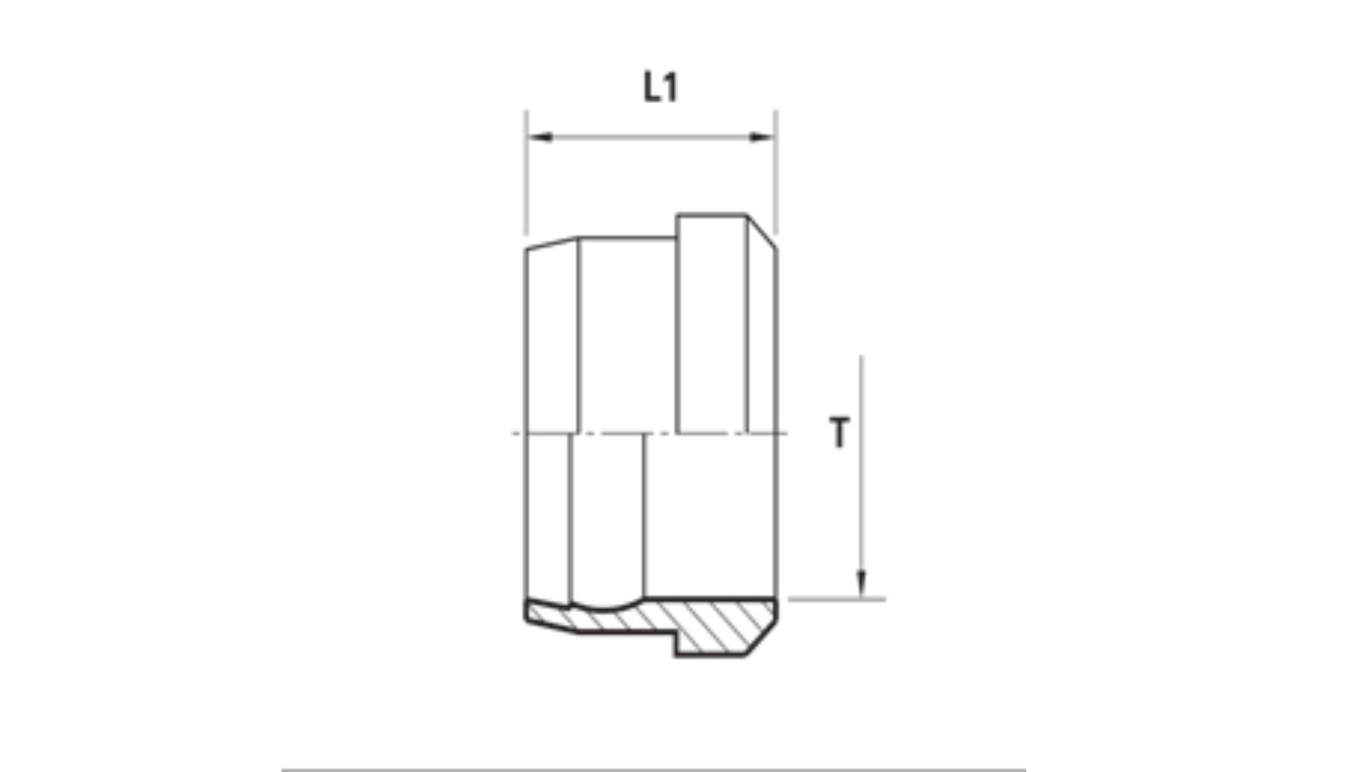 Bản vẽ nút bịt M hệ DIN