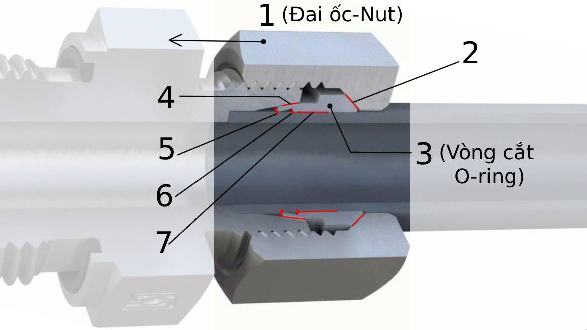 Đầu nối thủy lực sau khi siết cắn vào ống